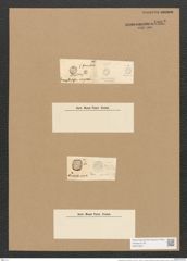 Campylodiscus thuretii Breb. (de-Toni-Nr.: Genus 57, Species 2482) Zeichnungen Sammlung Grunow Nr. 4982 (NHMW-BOT-W0373221)